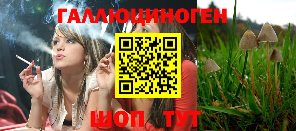 Галлюциногенные грибы GOLDEN TEACHER Александров
