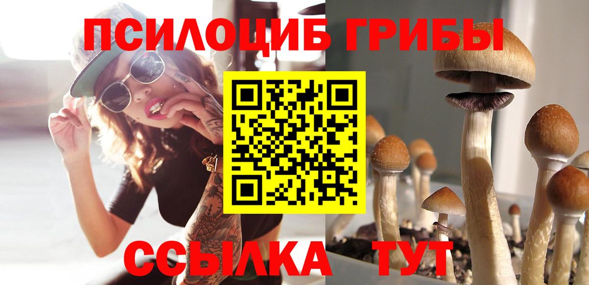 Галлюциногенные грибы Psilocybe  Псилоцибиновые грибы Magic Shrooms  Александров  Вход с VPN 